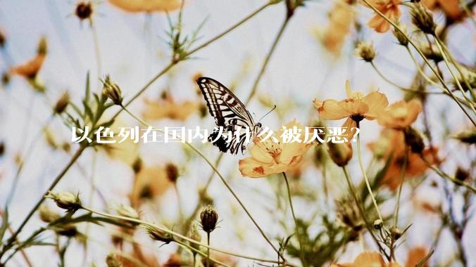 以色列在国内为什么被厌恶？