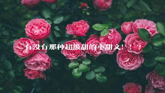 有没有那种超级甜的小甜文！！？